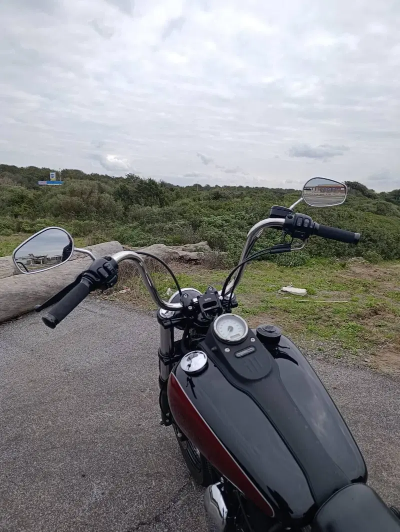 Harley-Davidson 1584 Street Bob (2008 - 15) - FXDB (7)