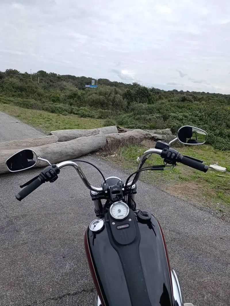 Harley-Davidson 1584 Street Bob (2008 - 15) - FXDB (8)