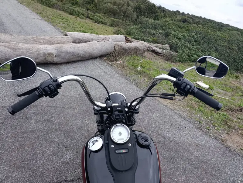 Harley-Davidson 1584 Street Bob (2008 - 15) - FXDB (13)