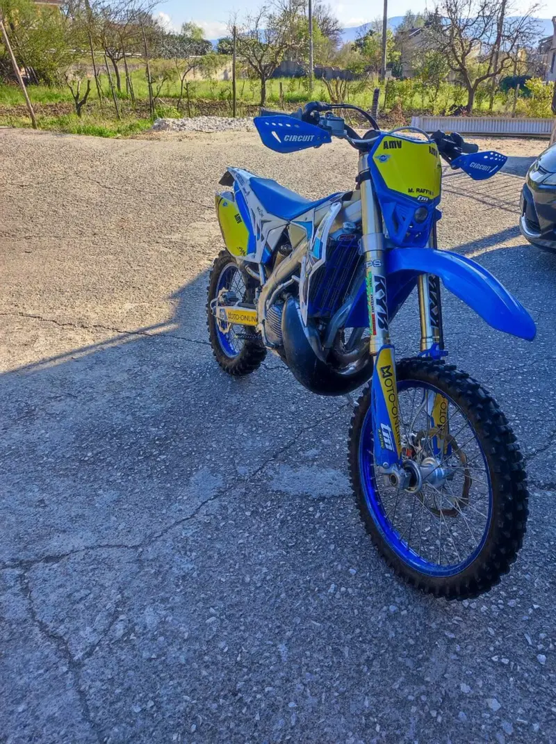 Tm Moto EN 300 Es 2t (2020)