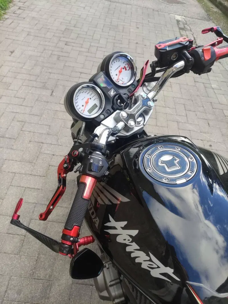 Honda Hornet 600 (2003 - 04) (4)