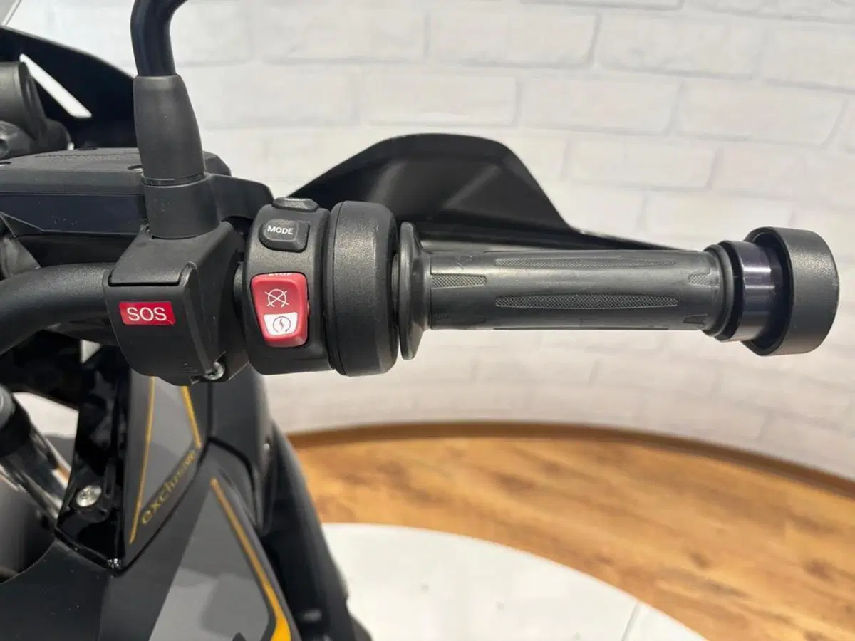 Bmw R 1250 GS (2019 - 20) (10)