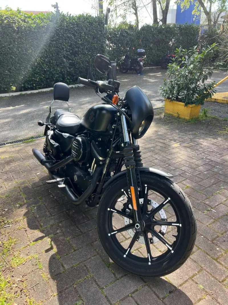 Harley-Davidson 883 Iron (2017 - 20) - XL 883N (4)
