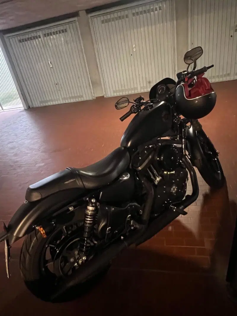Harley-Davidson 883 Iron (2017 - 20) - XL 883N (9)