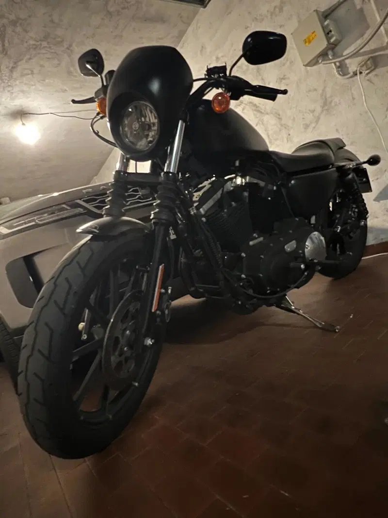 Harley-Davidson 883 Iron (2017 - 20) - XL 883N (12)