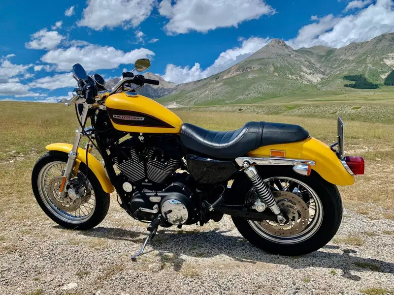Harley-Davidson 1200 Roadster (2002 - 05) - XL 1200R (3)