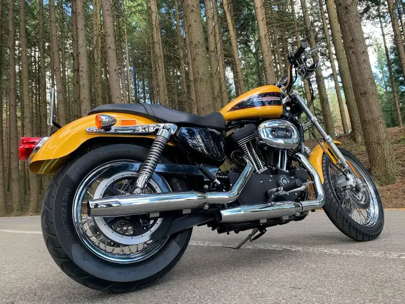 Harley-Davidson 1200 Roadster (2002 - 05) - XL 1200R (5)