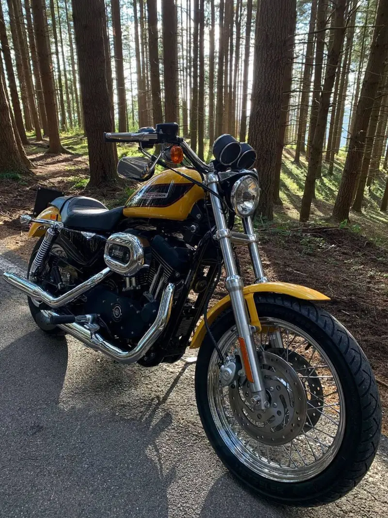 Harley-Davidson 1200 Roadster (2002 - 05) - XL 1200R (6)