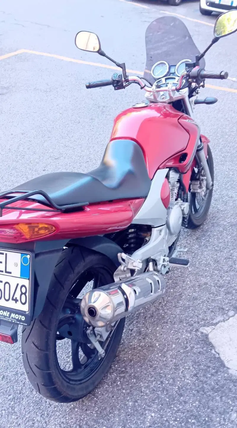 Yamaha YBR 250 (2006 - 13) (3)