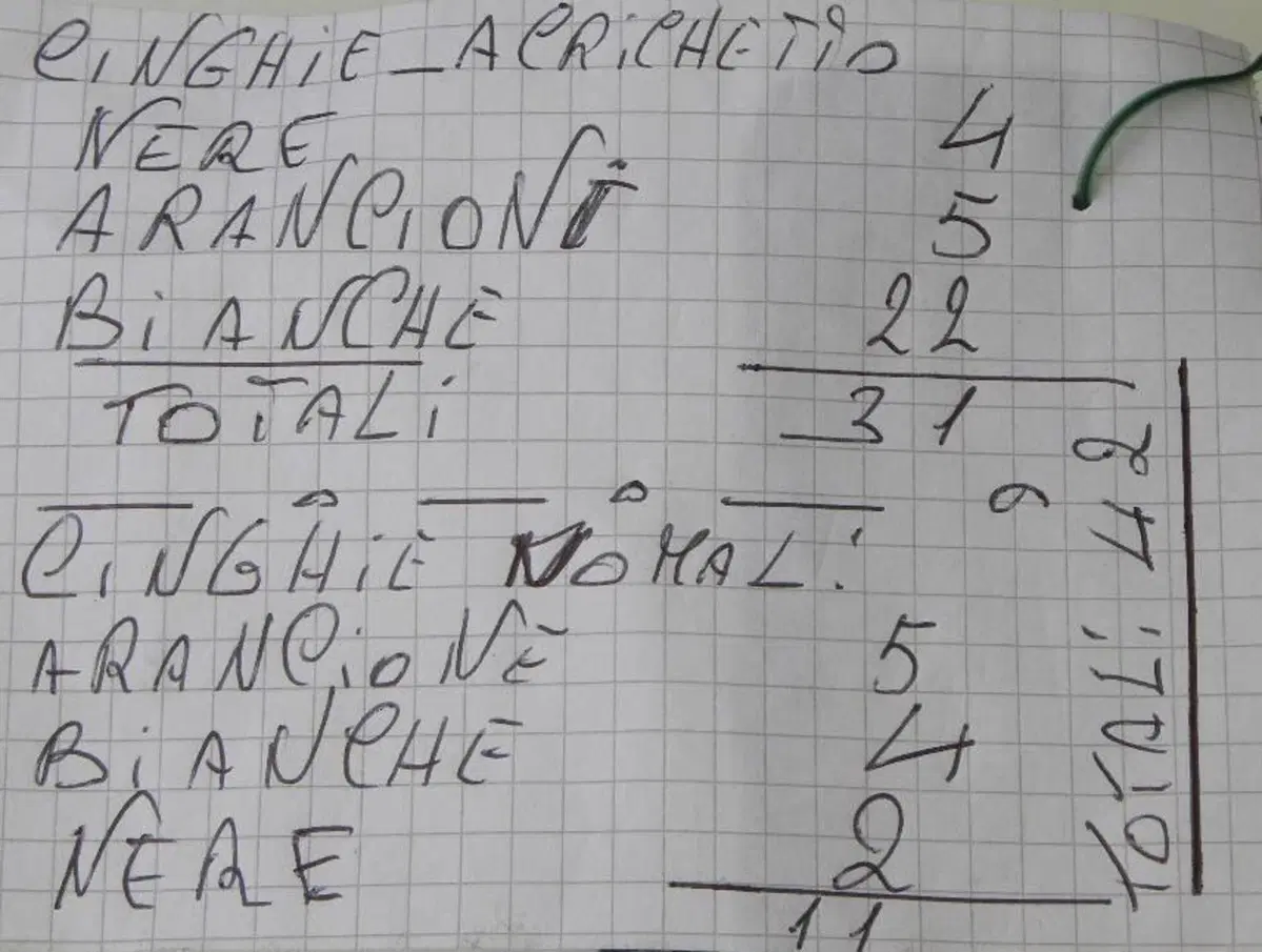 Cinghie con e senza cricchetto per fissaggio moto (2)