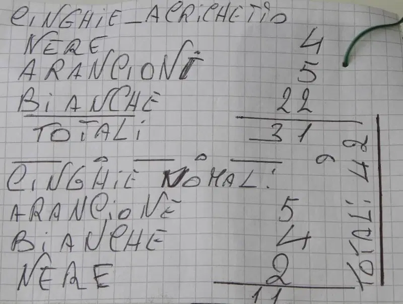 Cinghie con e senza cricchetto per fissaggio moto (2)