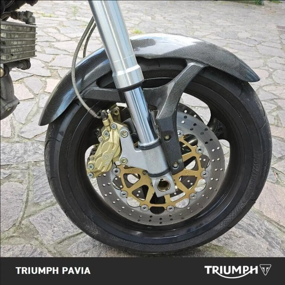 Ducati Monster 1000 Dark (2003 - 05) (18)