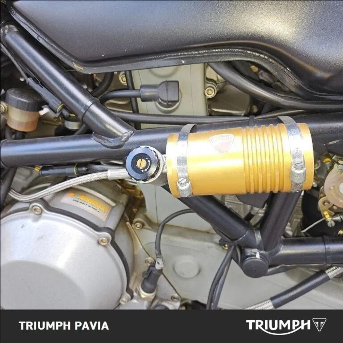Ducati Monster 1000 Dark (2003 - 05) (20)