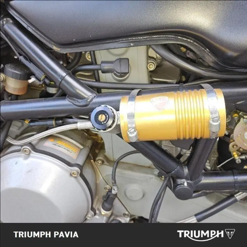 Ducati Monster 1000 Dark (2003 - 05) (20)