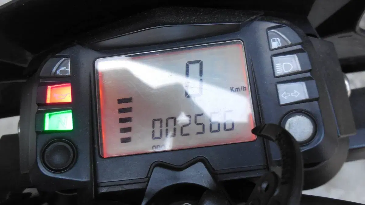 Aprilia RXV 450 (2007 - 08) (4)