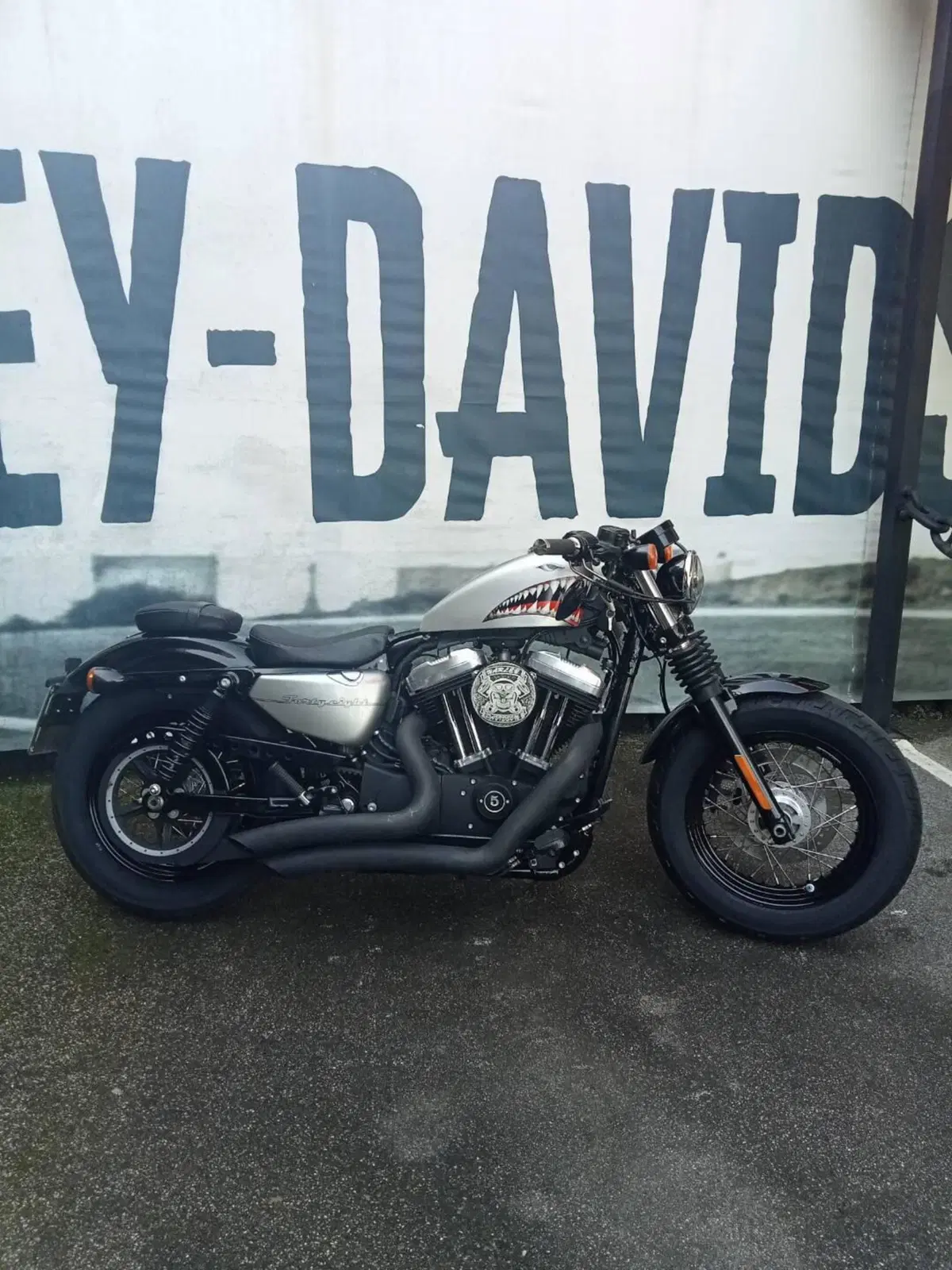Harley-Davidson 1200 Forty-Eight (2010 - 15)
