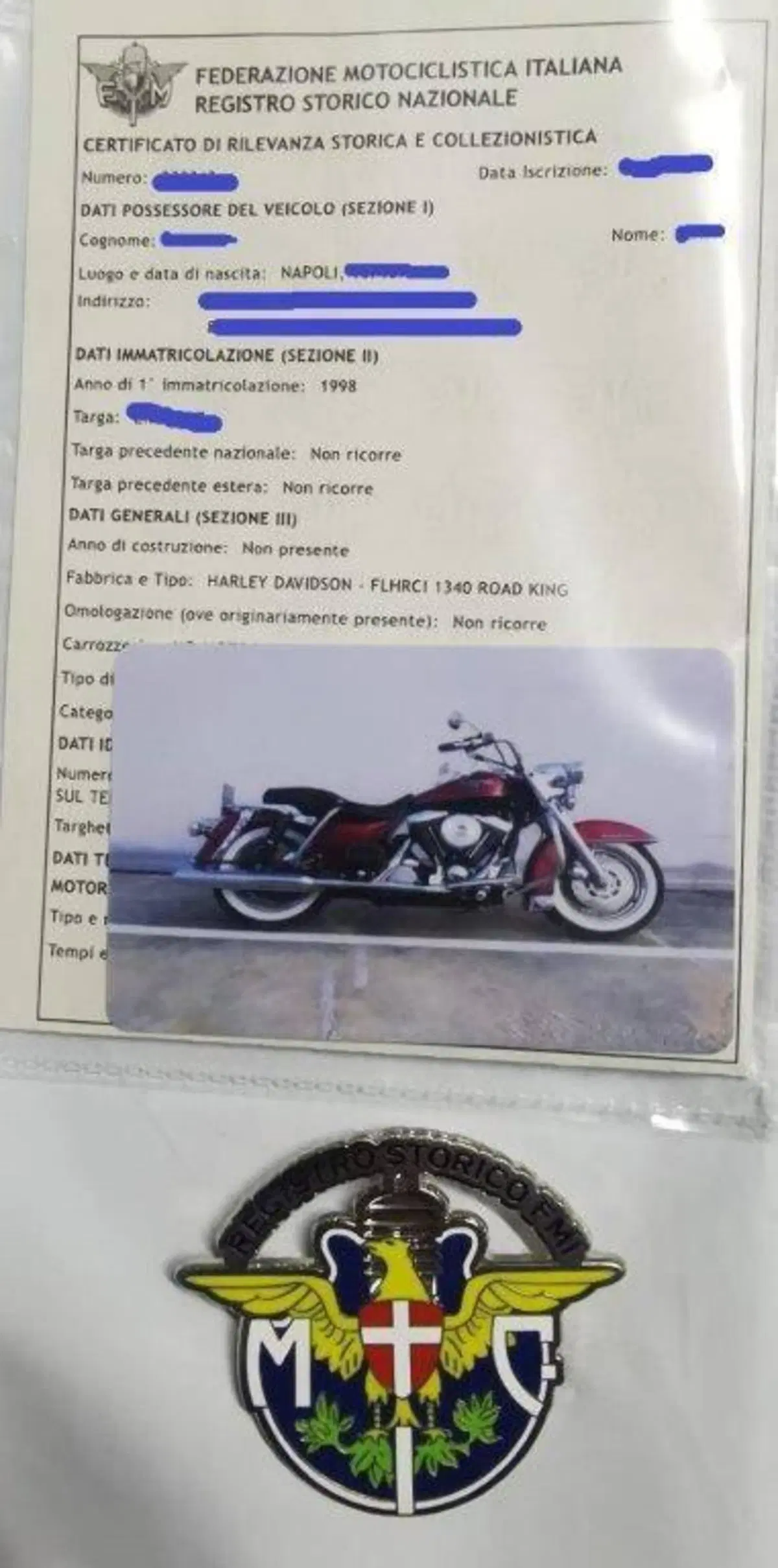 Harley-Davidson 1450 Road King (1999 - 03) - FLHR (17)