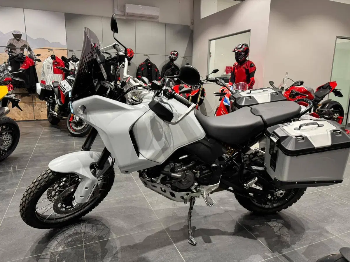 Ducati DesertX (2022 - 25) (2)