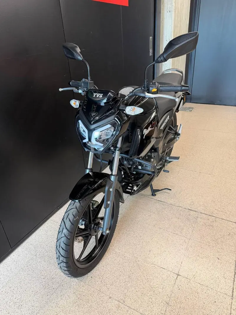 TVS Motor Raider 125 (2024 - 26) (4)