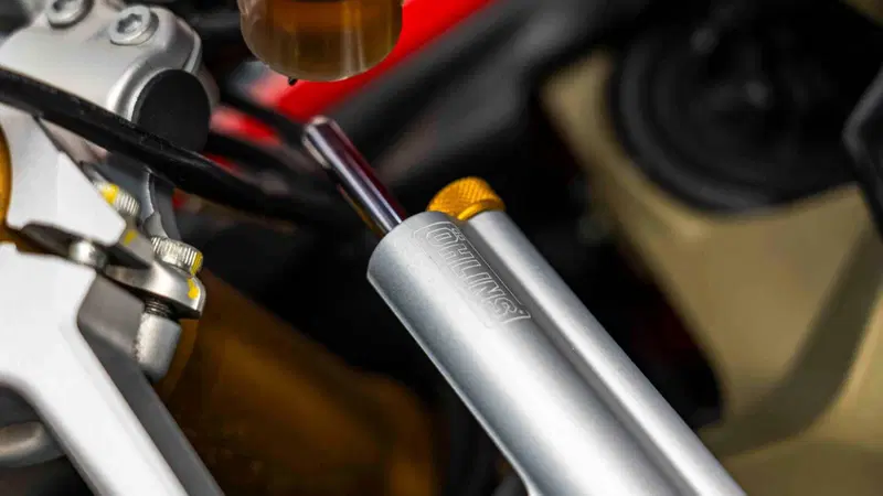Ducati 1199 Panigale R ABS (2013 - 17) (13)