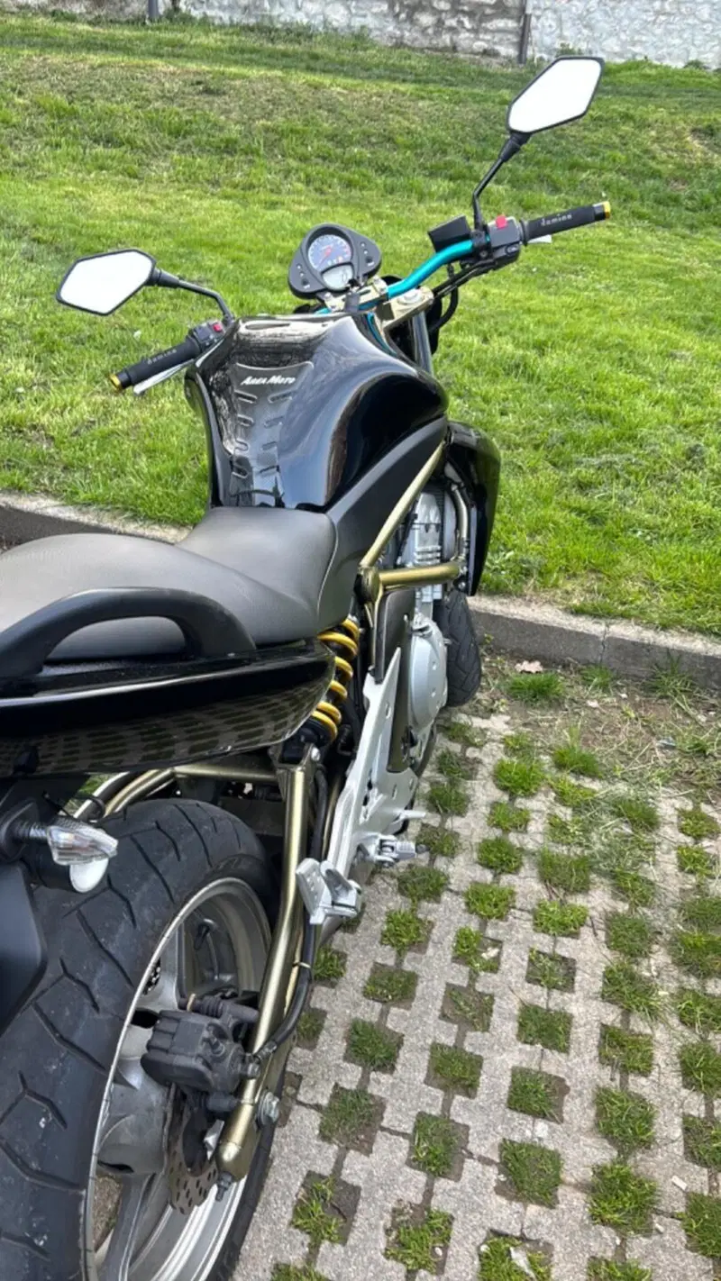 Kawasaki ER-6N (2006 - 09) (5)