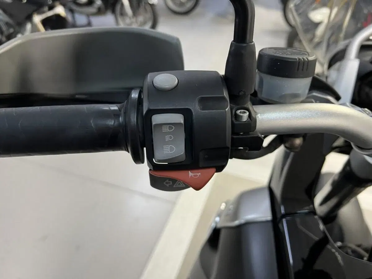 Bmw R 1200 GS (2004 - 07) (7)