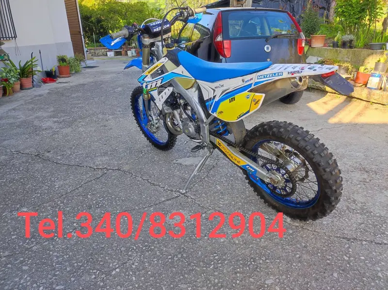 Tm Moto EN 300 Es 2t (2020) (3)