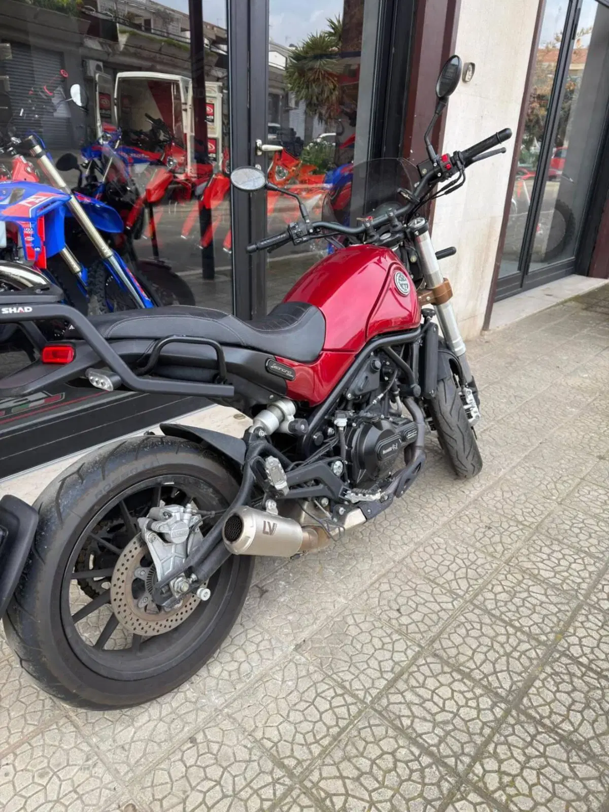 Benelli Leoncino 500 (2021 - 25) (2)