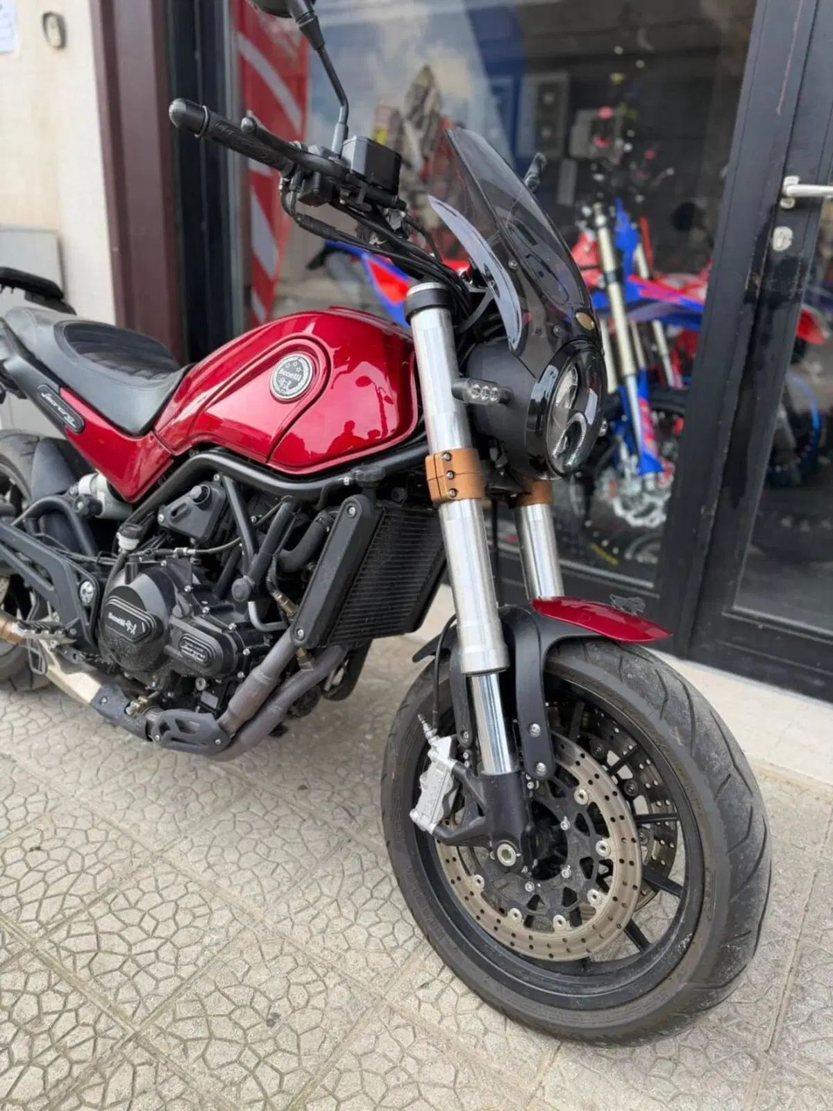 Benelli Leoncino 500 (2021 - 25) (5)