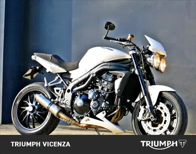 Triumph Speed Triple 1050 (2005 - 11) usata