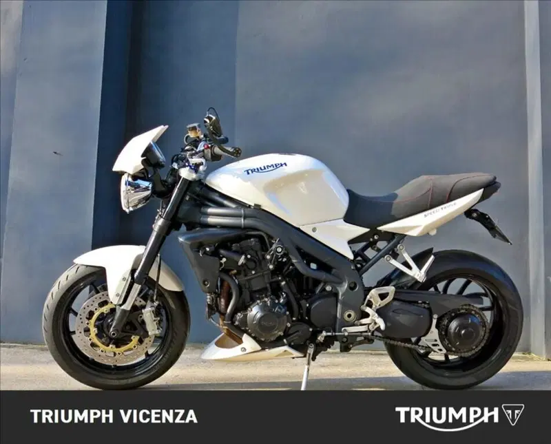 Triumph Speed Triple 1050 (2005 - 11) (6)