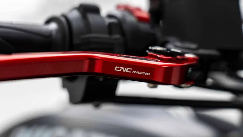 Ducati Monster 821 Stealth (2019 - 20) (16)