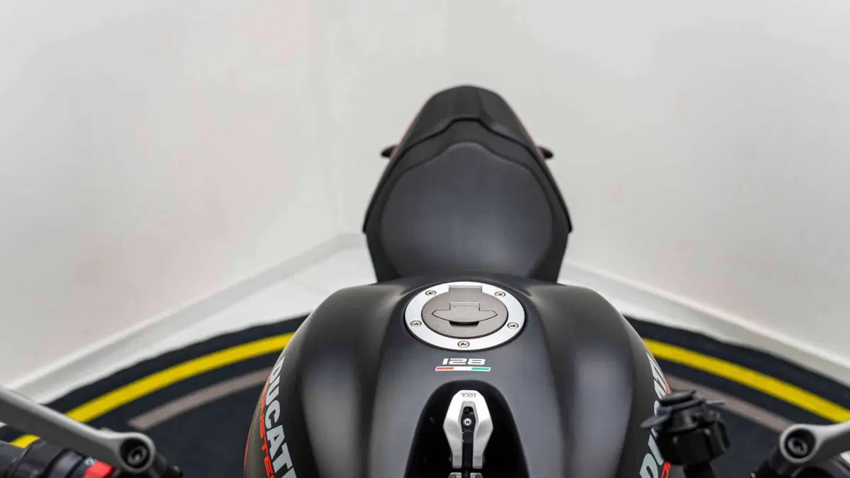 Ducati Monster 821 Stealth (2019 - 20) (19)