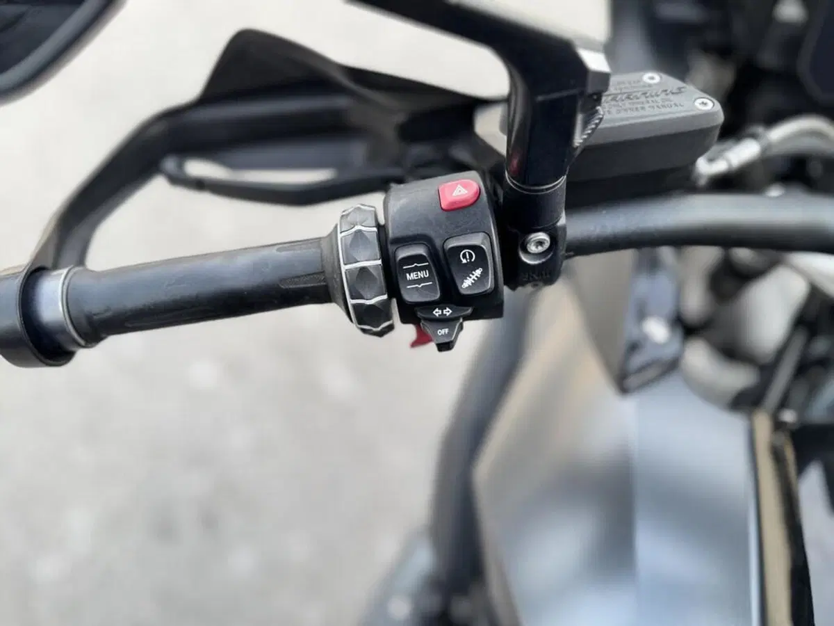 Bmw R 1250 GS (2021 - 24) (6)