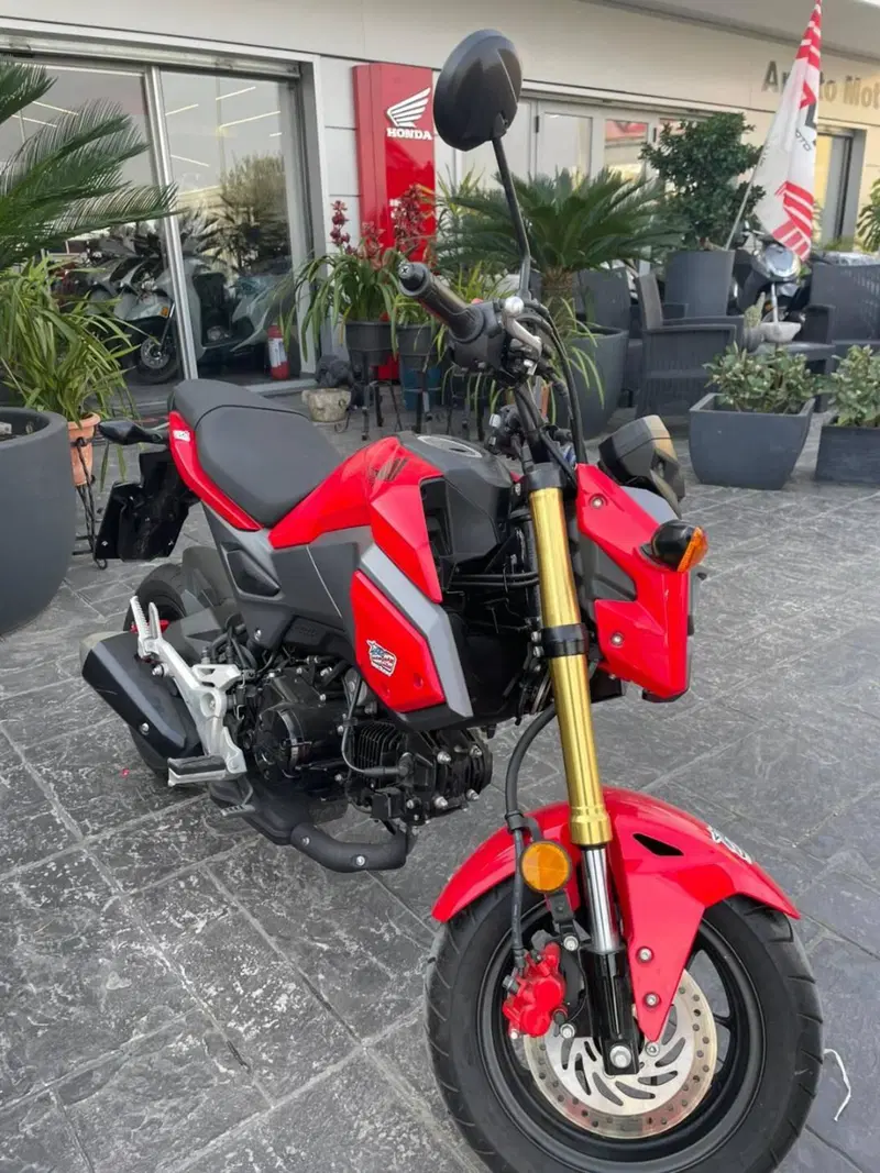 Honda MSX 125 (2018 - 20) (3)