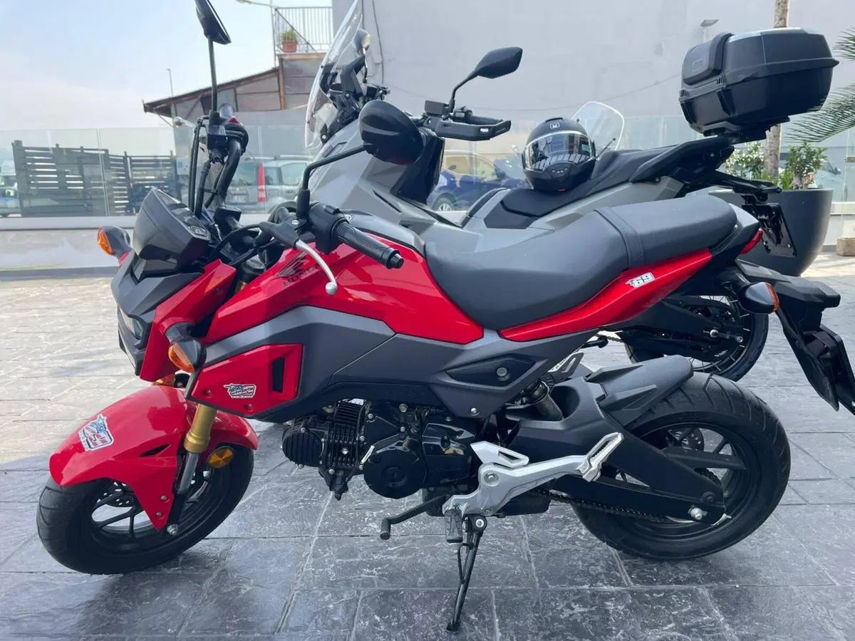 Honda MSX 125 (2018 - 20)