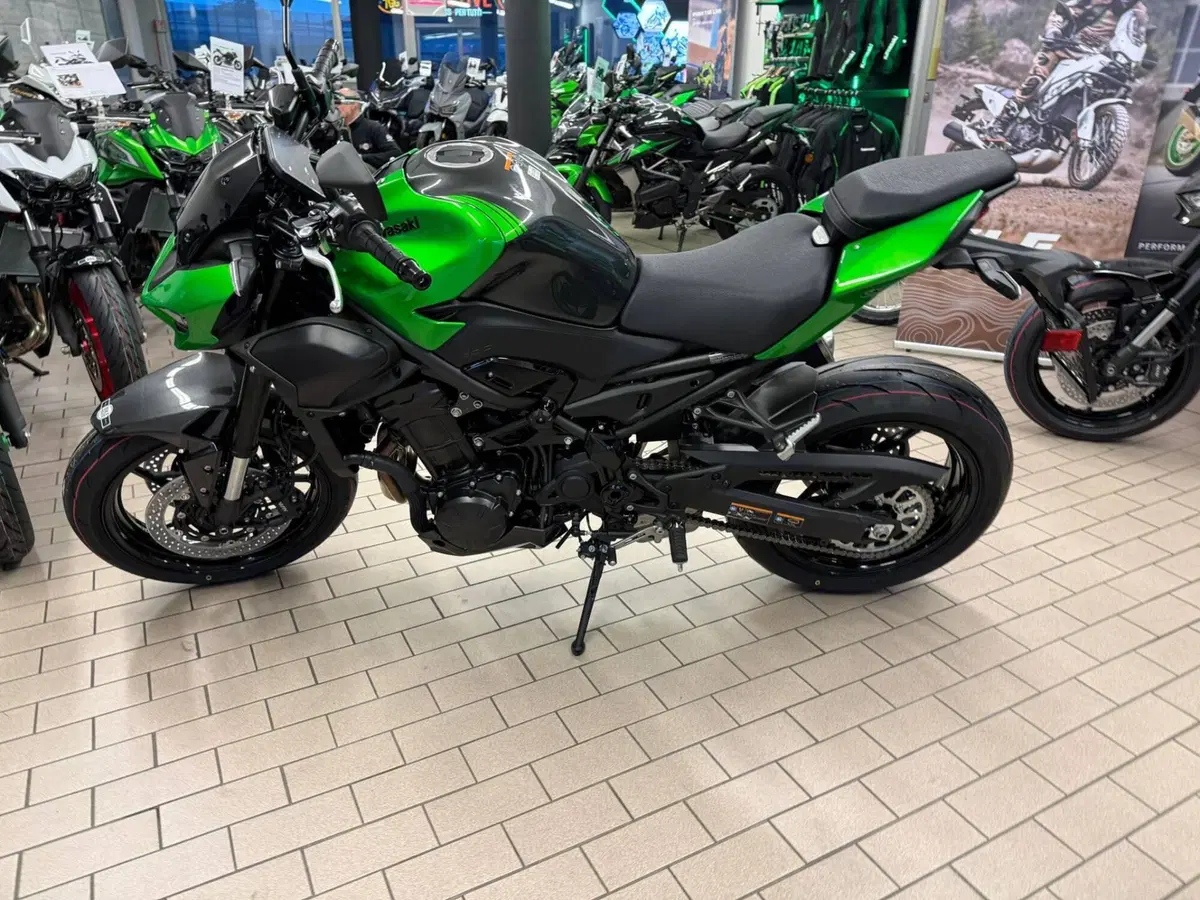 Kawasaki Z 900 (2025 - 26)