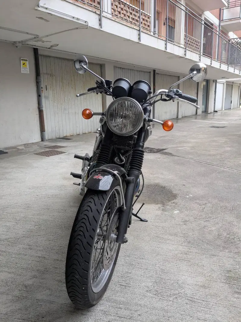 Triumph Bonneville T100 (2008 - 16) (3)