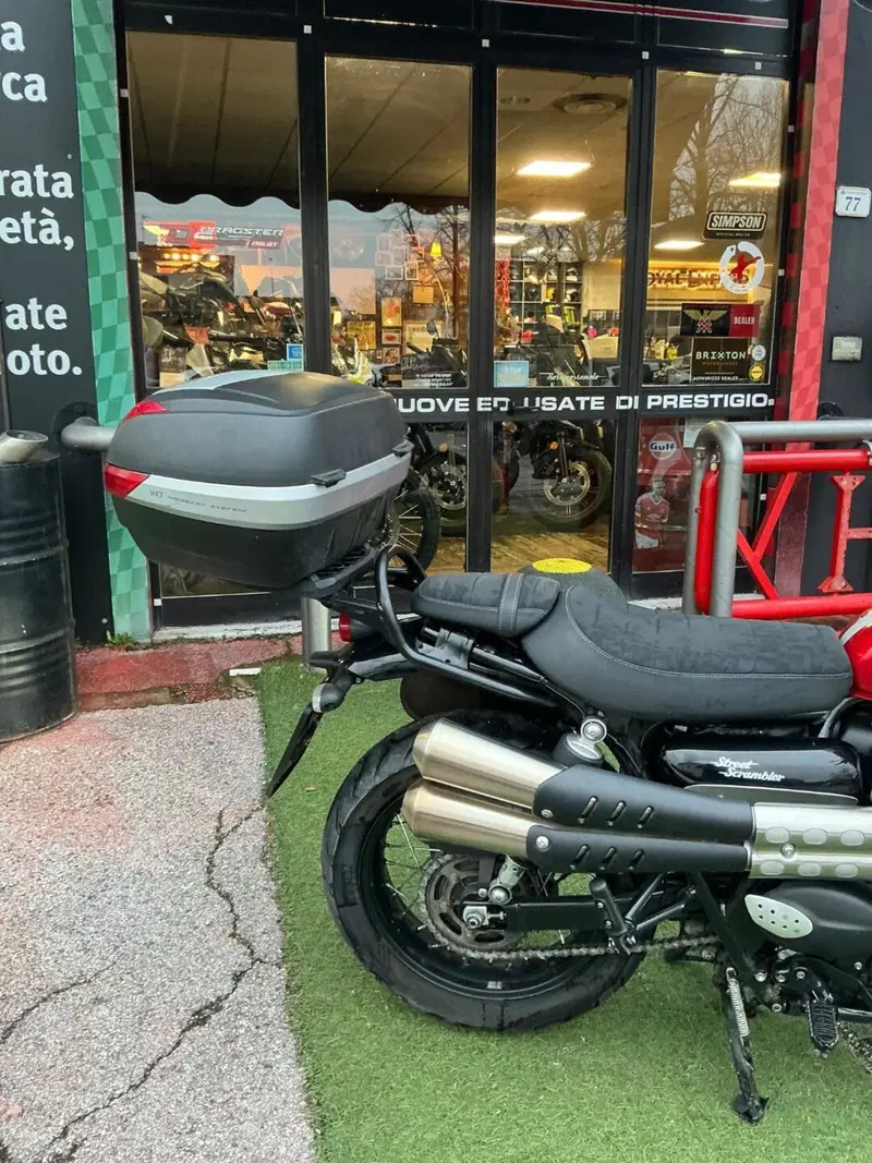 Triumph Street Scrambler 900 (2019 - 20) (9)