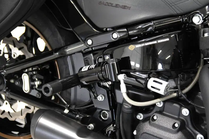 Harley-Davidson Low Rider ST (2022 - 24) (8)