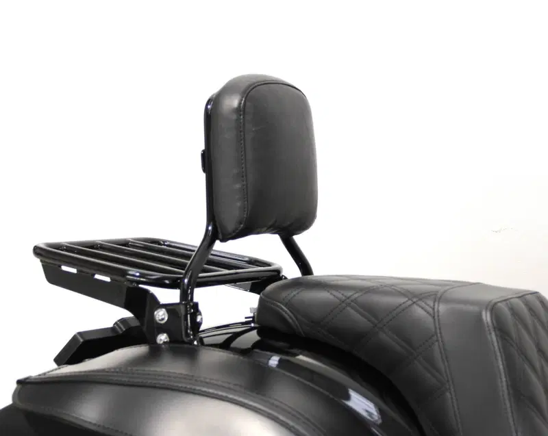 Harley-Davidson Low Rider ST (2022 - 24) (10)