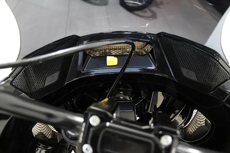Harley-Davidson Low Rider ST (2022 - 24) (16)