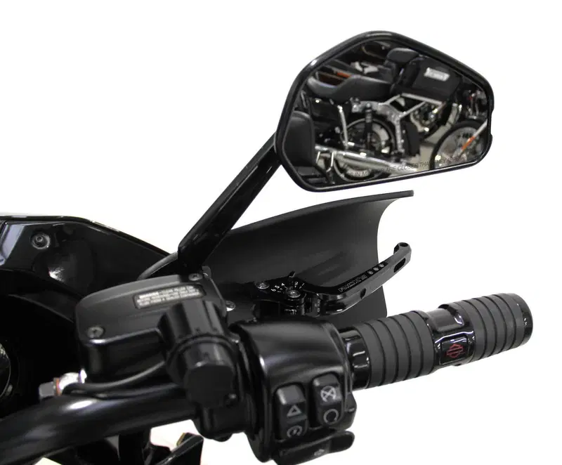Harley-Davidson Low Rider ST (2022 - 24) (17)