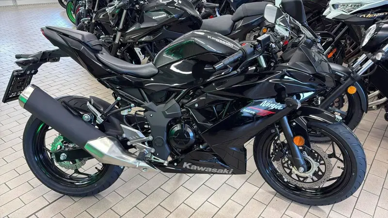 Kawasaki Ninja 125 (2025 - 26) (2)