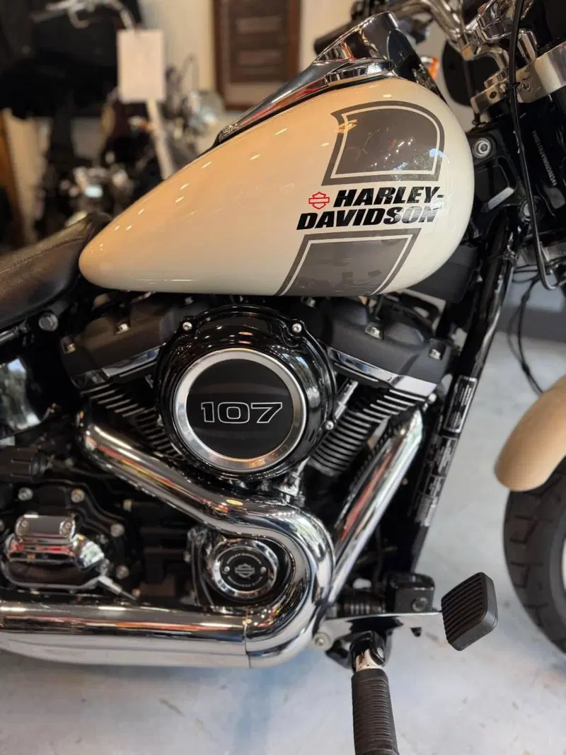 Harley-Davidson Sport Glide (2021 - 25) (5)