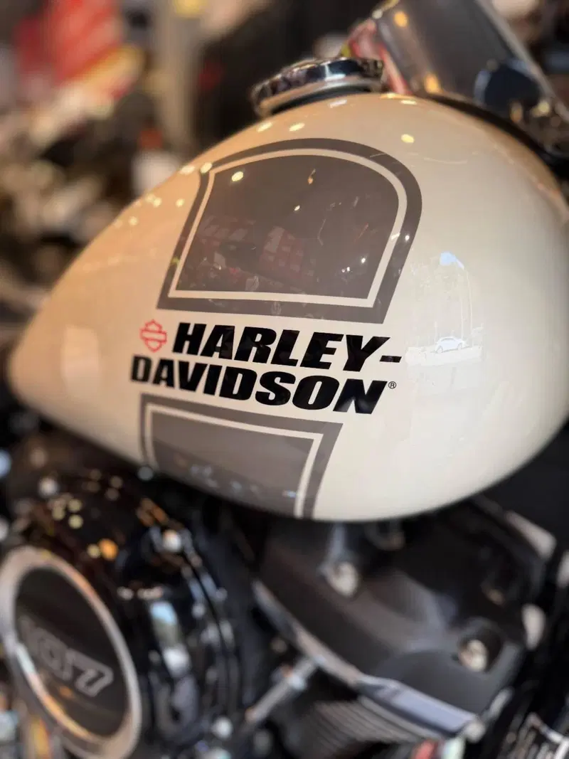 Harley-Davidson Sport Glide (2021 - 25) (10)