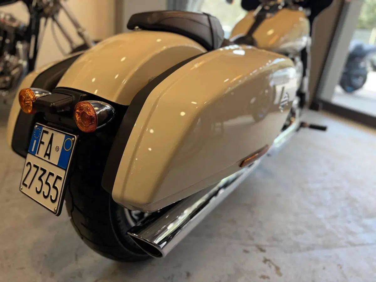 Harley-Davidson Sport Glide (2021 - 25) (17)