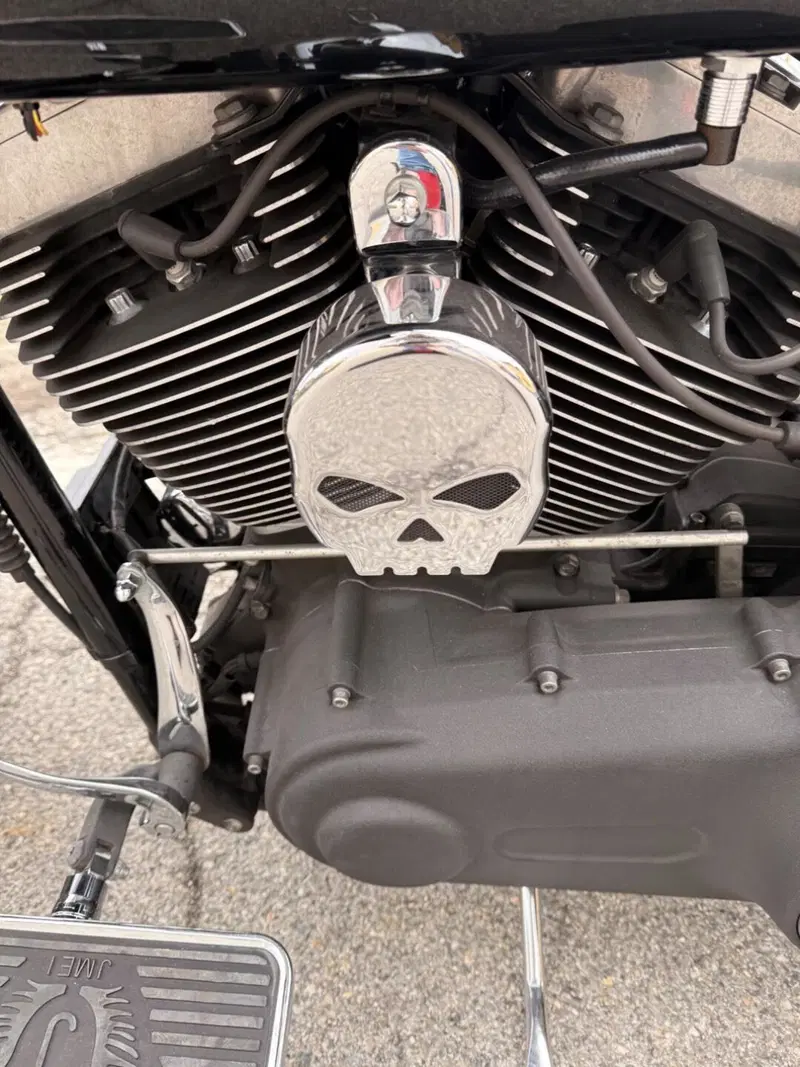 Harley-Davidson 1584 Fat Bob (2007 - 13) - FXDF (2)