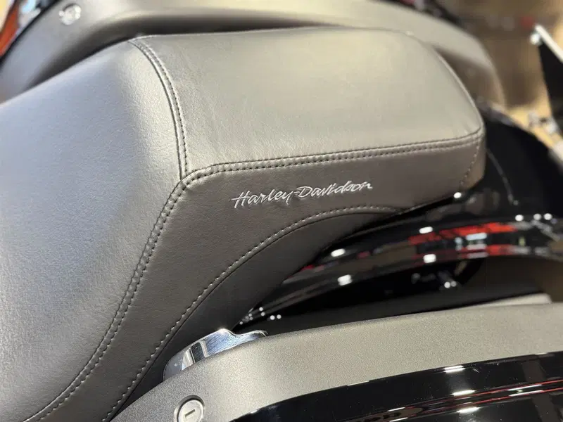 Harley-Davidson Low Rider S (2022 - 24) (4)