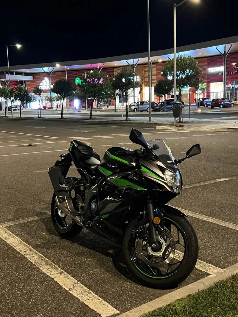 Kawasaki Ninja 125 (2021 - 24) (2)